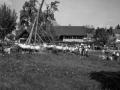 2023_15_Pinhole_315_Maibaum_4_EPBE1