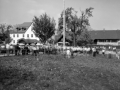 2023_16_Pinhole_316_Maibaum_5_EPBE1