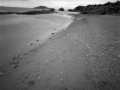 14_2024-Frankreich-Bretagne-FOMAPAN-100_106