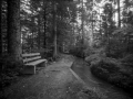4_Kneipweg-Rabenstein-2