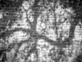 5_Schattenwand1