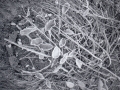 ONDU-5_be02