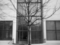 Pinakothek der Moderne II, München, Germany