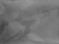 R-136_Krubasik-Inge-Eschach
